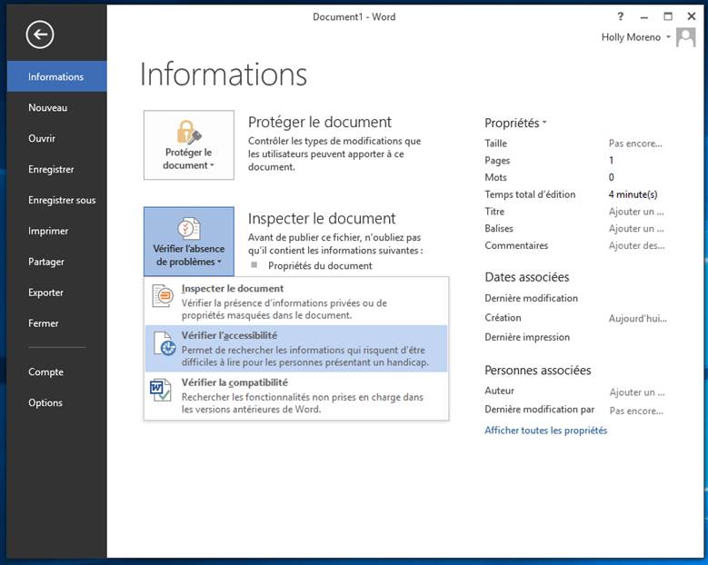 Capture d’écran de Menu Vérification de l’accessibilité